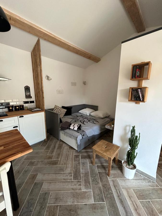 Charmant Studio Dans Villa - Jardin Privatif . ラ・セーヌ・シュル・メール エクステリア 写真