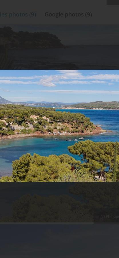 Charmant Studio Dans Villa - Jardin Privatif . ラ・セーヌ・シュル・メール エクステリア 写真